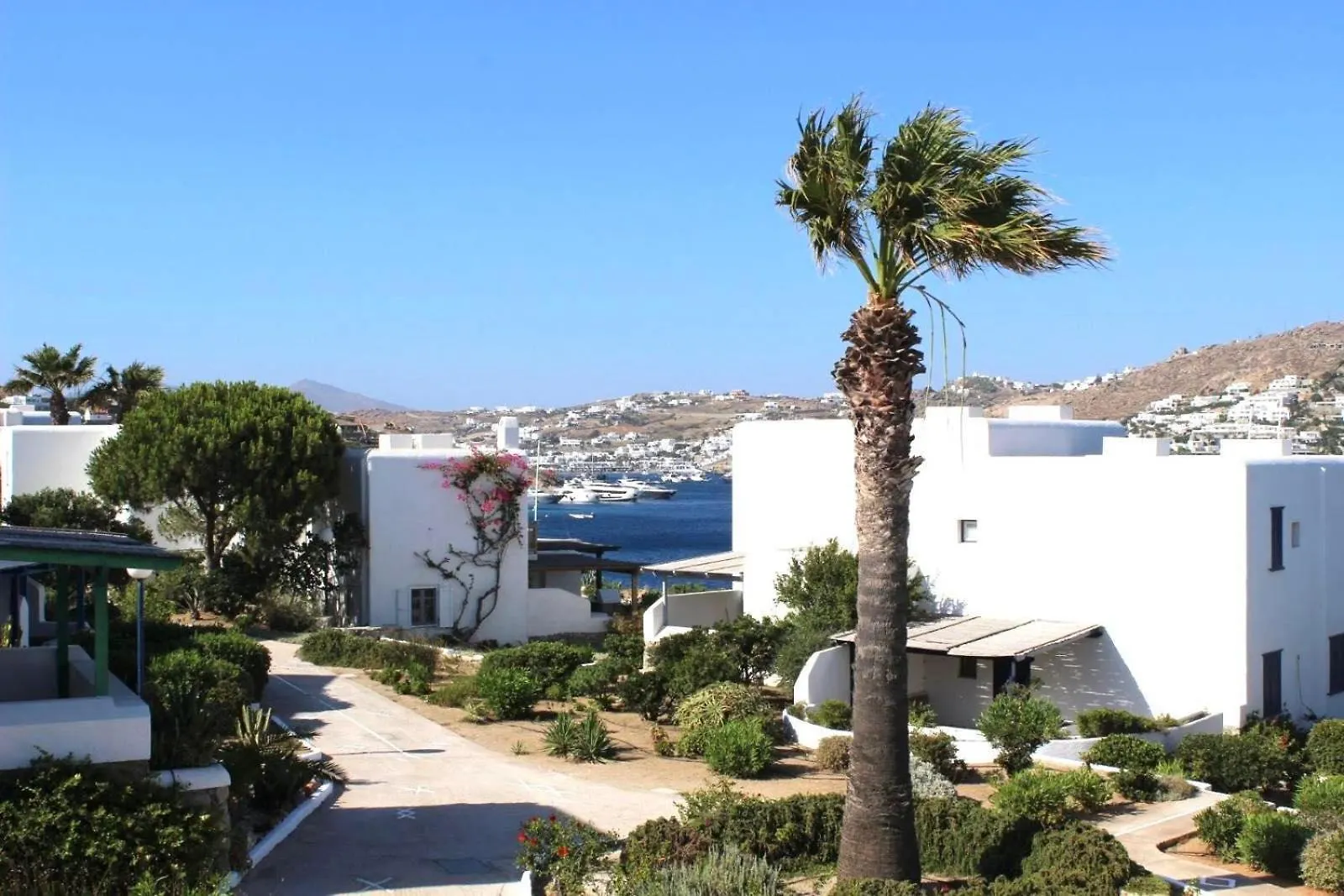 Mykonos Town Cycladic Beach Haven